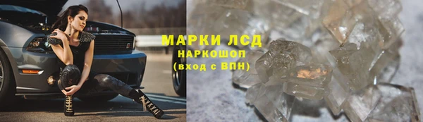 гидропоника Медногорск