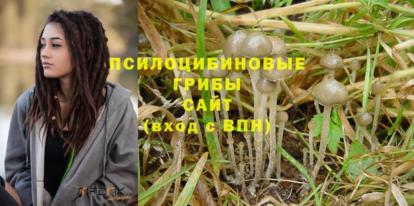 гидропоника Медногорск